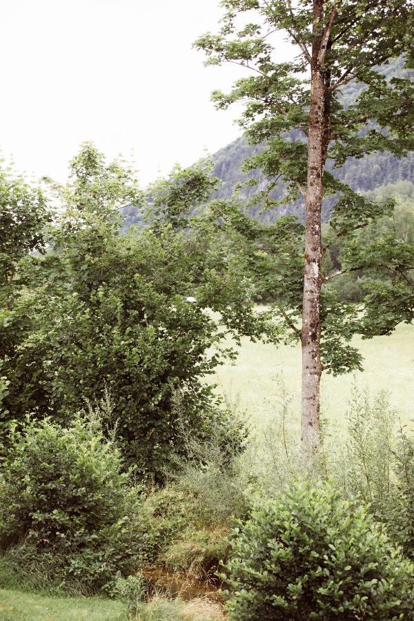 Bachbett - Modernes Gaestehaus Im Salzkammergut